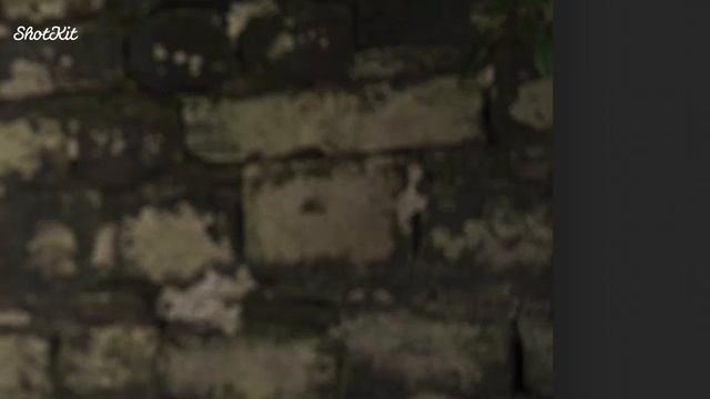 Luminar AI Review (Longterm Analysis): Use Cases, Pros & Cons смотреть онлайн