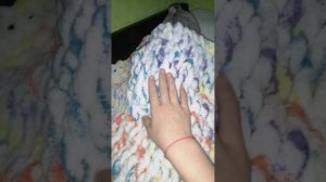 Утро басиков