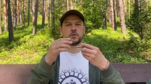 Алтайский комус