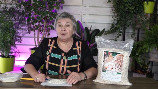 ЗАЧЕМ НУЖНА ЯИЧНАЯ СКОРЛУПА ✔️ Чистый кальцый для земли ✔️ Советы от Garden-zoo