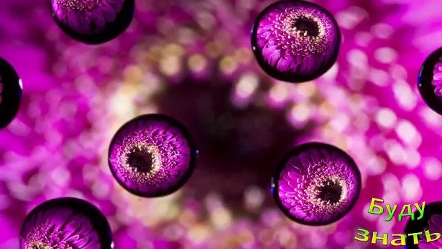 Хотели получить лекарство, а появилась краска для ткани - История пояления цветной ткани смотреть онлайн