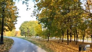 АУДИОРАССКАЗ: Очнувшись, богач услышал, ЧТО супруга обсуждает с врачом и похолодел, но медсестра