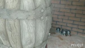 Вазон из бетона ? своими руками ✋ Арт бетон