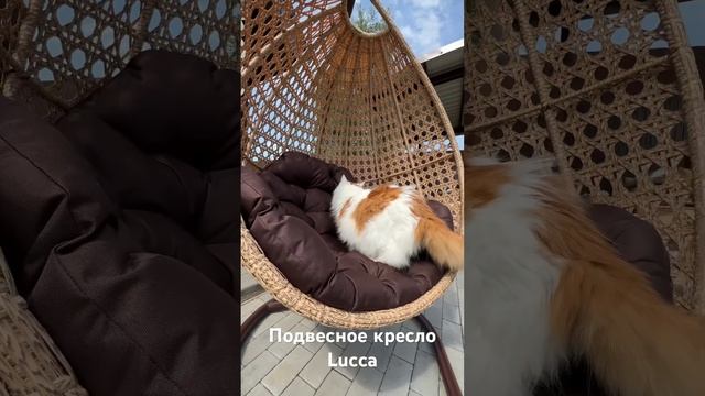 Подвесное кресло Lucca смотреть онлайн