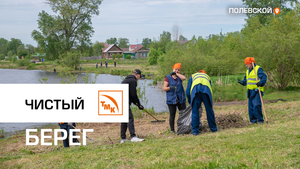 Чистый берег