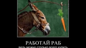 Почему не стоит работать в СберБанке? Отзывы о работе в Сбербанке