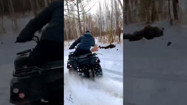 Линхай Ямаха М200 снег Linhai Yamaha M200 snow