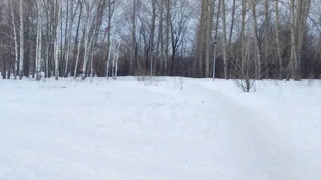 В Казани в парке Победы открылась лыжная трасса смотреть онлайн