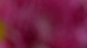 А над нами облака плывут крылатые