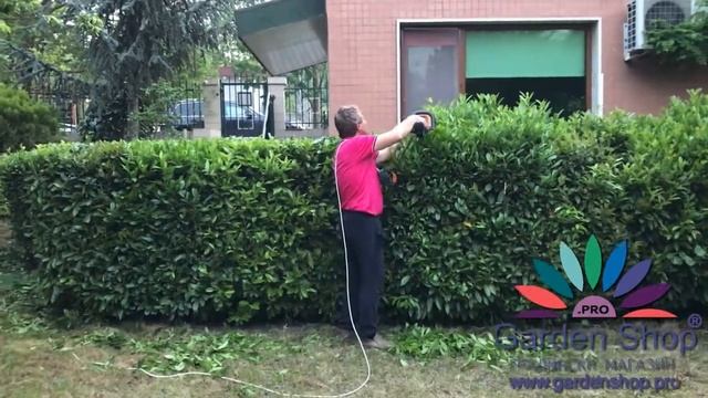 How to trim prunus laurocerasus hedge with electric trimmer смотреть онлайн