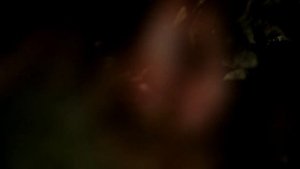 Русская баня в деревне Ерюхино