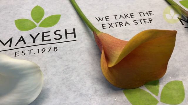 Mayesh Minute: Dutch Direct Flowers February 23 смотреть онлайн