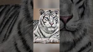 белый тигр песня тигр🐅