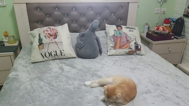 Строят новый парк!Съездили за декором!Хочу светлую мебель!Готовлю вкусный пирог! смотреть онлайн