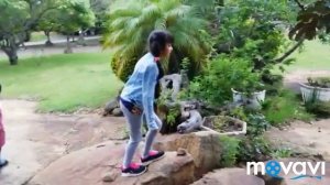 Поездка в Мозамбик.