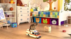 SPECIAL LITTLE KITTEN ADVENTURE AND FUNNY CAT VIDEOS - SPECIAL CARTOON CAT AND ANIMATED KITTEN