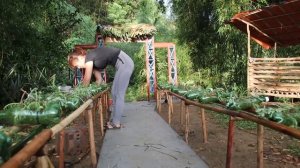 Full Video 100 Days BUILD LOG CABIN Live Alone. Farm Building | Junni