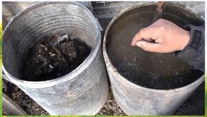 Удобряем птичьим помётом. Сад. Огород. Садовод и огородник.