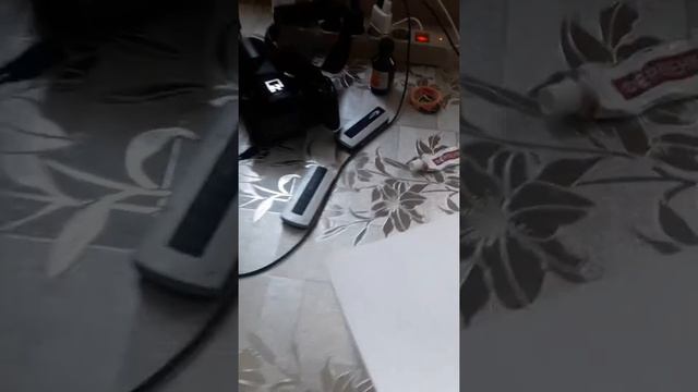 Первое яйцо кореллы.  Размножение корелл! смотреть онлайн