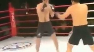 Чеченец против казаха  Нохчи хватило одного удара