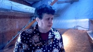 Бройлер СМЕНА 9 возраст 10 дней