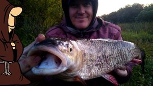 Трофейный Голавль на донку с живцом или как поймать голавля на реке