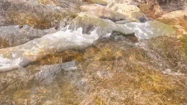 Лаго-Наки,Адыгея 2023, как раствориться в природе весной смотреть онлайн