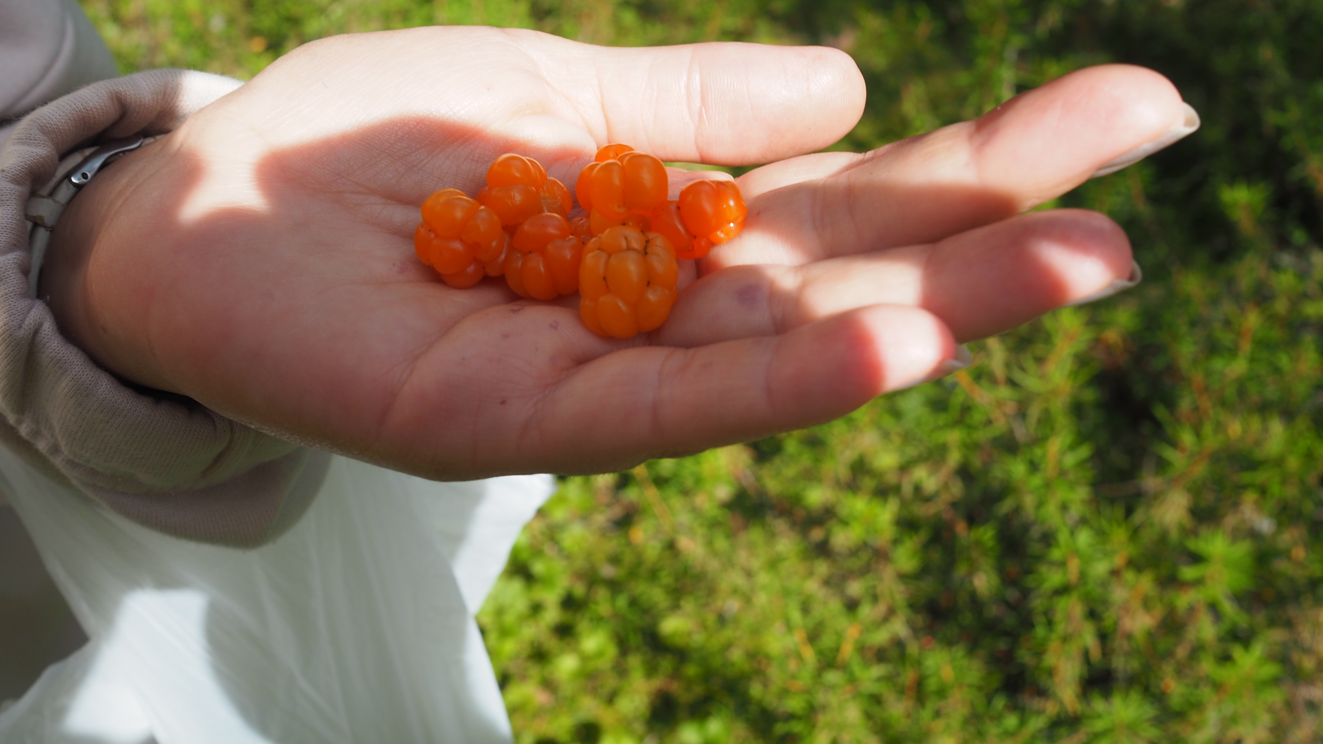 промотур по северу часть №2 overlanding russia