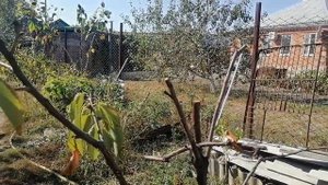 Погибает черешня, что делать непонятно, наверное уже поздно спасать дерево.