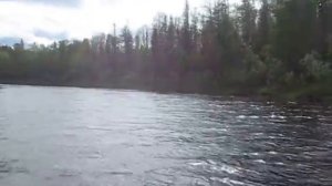 вельбот 45 нью ямаха F50