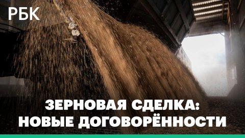 Зерновая сделка: Россия возобновляет участие в вывозе зерна по гумкоридору