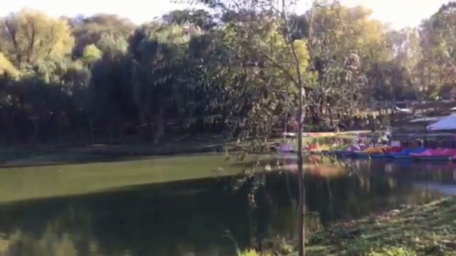 Прогулка по осеннему парку "Долина роз" в городе ""Кишинев"
