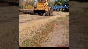 Вспашка зяби ### тракторами к 700 #смотреть до конца & поле пашня!!!
