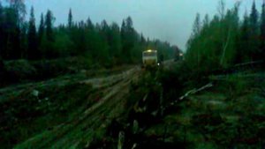 зимник