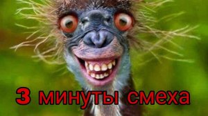 3 минуты смеха. часть 5