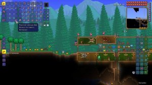 Terraria 1.4 Дюп для "бесконечных" денег