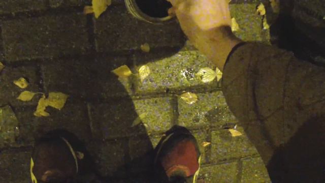 Инсталяция из органов животного. смотреть онлайн