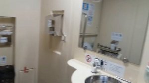 Двухэтажный вагон в поезде Ижевск-Москва-Ижевск. Вагон для инвалидов, вагон-ресторан