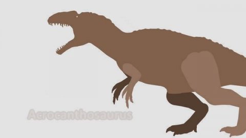 Dinossauros desenho animado | Dinossauro Rex e outros | Dinosaurs Cartoons - DinoMania