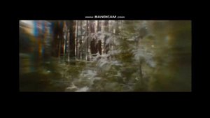 Twilight Wolves Light em up