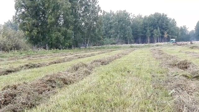Т-40М с граблями ГВК-6М смотреть онлайн