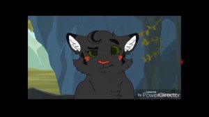 Коты-Воители /Воробей/Детство