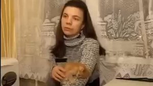 Лишай у кошек. Как лечить лишай у котов: причины, симптомы, профилактика