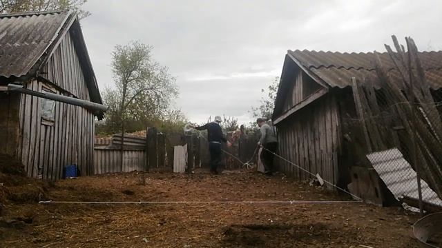 Первая клубника.Спасаем остатки рассады.Андрей помогаем маме строить коровник..mp4 смотреть онлайн