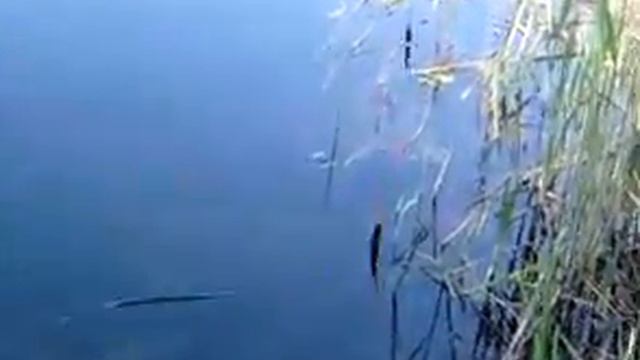 на рыбалке смотреть онлайн