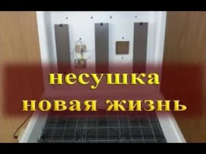 ИНКУБАТОР НЕСУШКА С ВЕНТИЛЯТОРАМИ - ВЫВОД 100%!