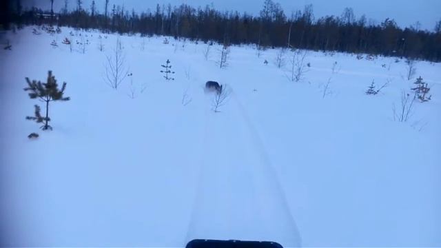 тяжело за бураном собаке смотреть онлайн