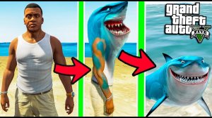 КАК ФРАНКЛИН ПРЕВРАТИЛСЯ В АКУЛУ ЭКСПЕРИМЕНТ В ГТА 5 МОДЫ! ОБЗОР МОДА В GTA 5! ИГРЫ ВИДЕО MODS