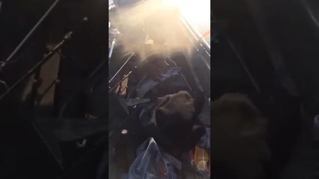 С.Павлодарское старое русло СПИНИНГ смотреть онлайн