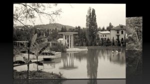 Сочинский дендрарий / Sochi Arboretum - 1960s